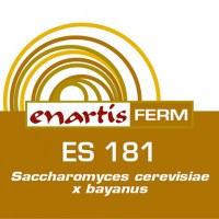 416x416-ENARTIS-FERM-ES-1819