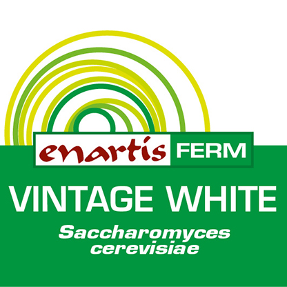 416x416 ENARTIS FERM VINTAGE WHITE
