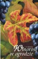 WINOROŚL W OGRODZIE   ROMAN MYSLIWIEC