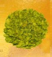 CHMIEL SUSZONY - CZESKI ŽATECKÝ ČERVENÁK 100g