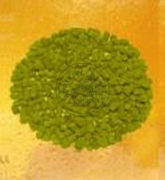 CHMIEL GRANULOWANY - NIEMIECKI TETTNANGER 100g