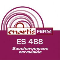 416x416-ENARTIS-FERM-ES-4888