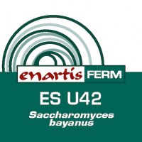 416x416-ENARTIS-FERM-ES-U42