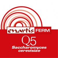 416x416-ENARTIS-FERM-Q-5
