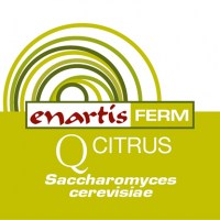 416x416-ENARTIS-FERM-Q-CITRUS7