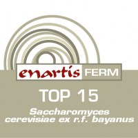 416x416-ENARTIS-FERM-TOP-15