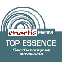 416x416-ENARTIS-FERM-TOP-ESSENCE