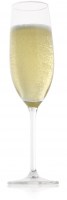 4221_Champagne_Glass_RGB_v1.jpg