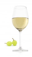 4221_Wine_Glass_White_RGB_v1.jpg