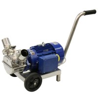 POMPA DO MIAZGI 60 EP MAJOR