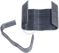 SPINACZE OSICKA (2500 szt.)